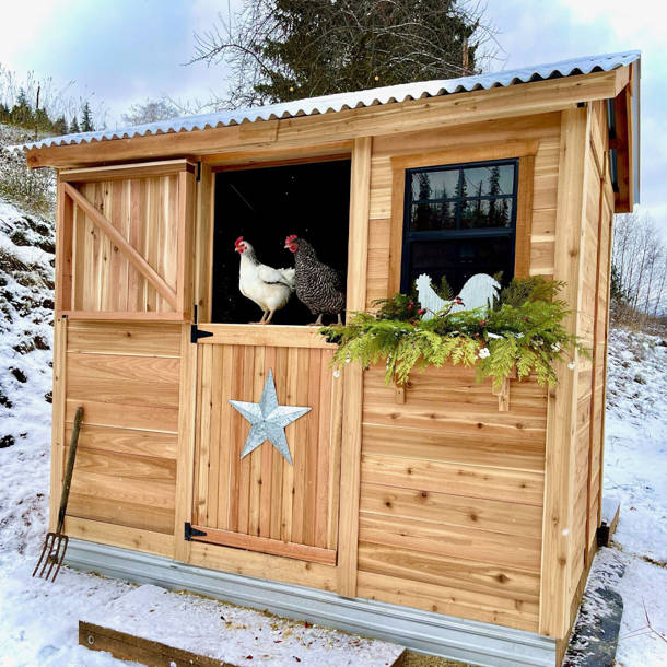 Tucker Murphy Pet™ Zebediah 12 Square Feet Chicken Coop with Chicken